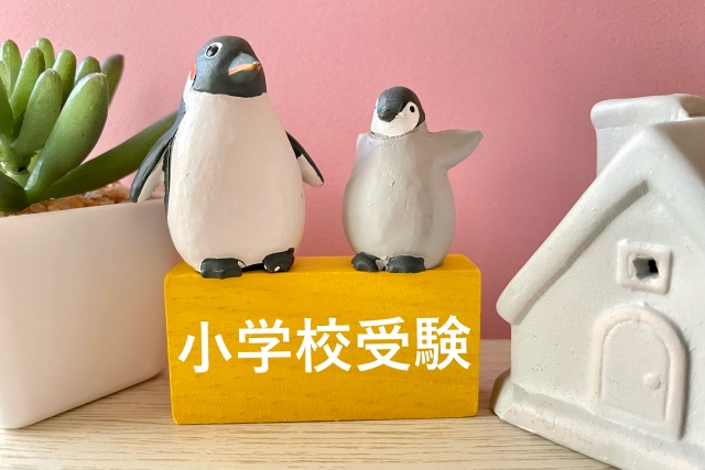 6月ですが内部進学のための小学校受験写真のお客様が多くなっています